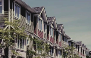  Volodymyr Kyrylyuk / Shutterstock.