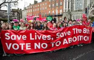 Save the 8th Rally in Dublin on March 10, 2018. Courtesy photo. 