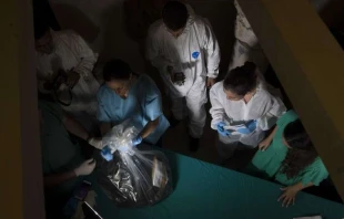 Scientists study bones found under a floor in the Teutonic College.   Vatican Media.