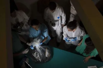 Scientists study bones found under a floor in the Teutonic College Credit Vatican Media