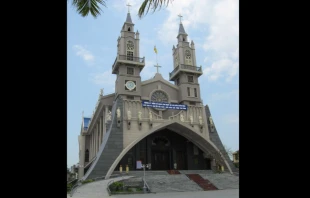 Sacred Heart Cathedral in the Diocese of Thái Bình, Vietnam.   Daaé/public domain.