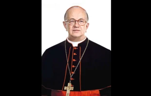 Cardinal Eusébio Oscar Scheid, the former archbishop of Rio de Janeiro. Credit: Gblobato via Wikipedia (CC BY-SA 4.0).