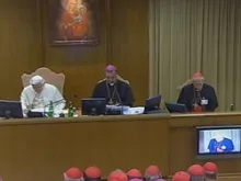 Screenshot of the Synod of Bishops for the New Evangelization. 