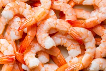 Shrimp Credit Jiri Hera via wwwshutterstockcom CNA