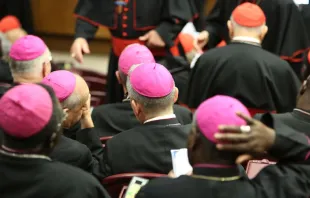 Synod of Bishops, 2018.   Daniel Ibanez/CNA