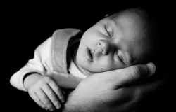Sleeping Baby On A Hand by Vera Kratochvil (CC0 1.0).?w=200&h=150