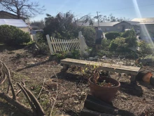 Prayer garden damaged by Hurricane Michael at St. John the Evangelist Parish in Panama City, Fla. Courtesy photo.