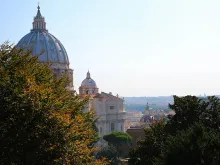 St. Peter's Basilica as seen from the Vatican Gardens. 