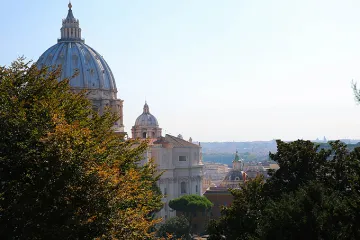 St Peters Basilica from the Vatican Gardens August 28 2014 Credit Lauren Cater CNA CNA 8 28 14