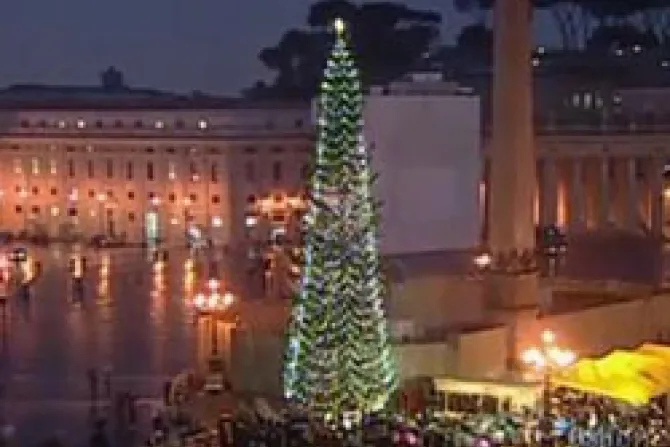 St Peters Square Christmas Tree 2 CNA Vatican Catholic News 12 17 10