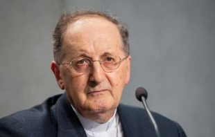 Cardinal Beniamino Stella, prefect of the Congregation for the Clergy, pictured Oct. 24, 2019.   Daniel Ibáñez/CNA.