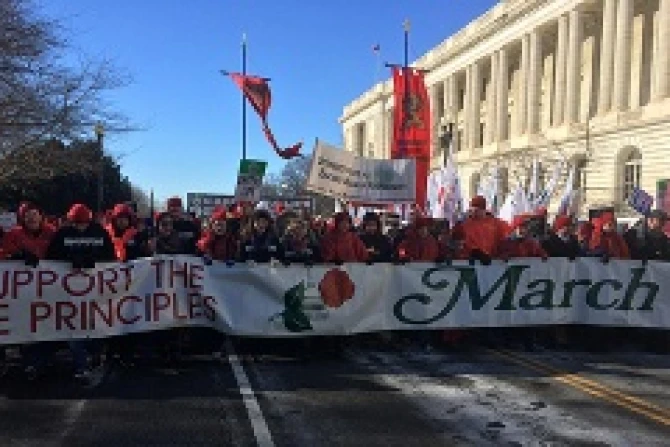 Students from Benedictine College carry the March for Life sign at the start of the march on Jan 22 2014 Credit Addie Mena CNA CNA 1 22 14