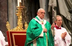 Pope Francis at Sunday Mass, July 7, 2013. ?w=200&h=150