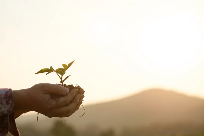 Sustainable development Credit Mr Whiskey Shutterstock CNA