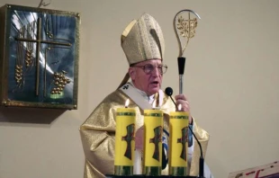 Archbishop Tadeusz Kondrusiewicz.   Raviaka Ruslan/Wikimedia Commons (CC BY-SA 3.0).