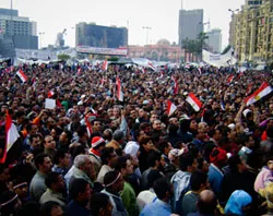 Protestors celebrate in Tahrir Square. ?w=200&h=150