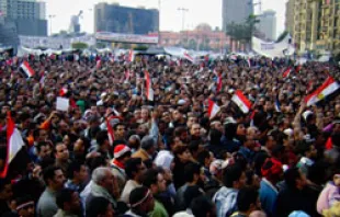 Protestors celebrate in Tahrir Square.   Maggie Osama