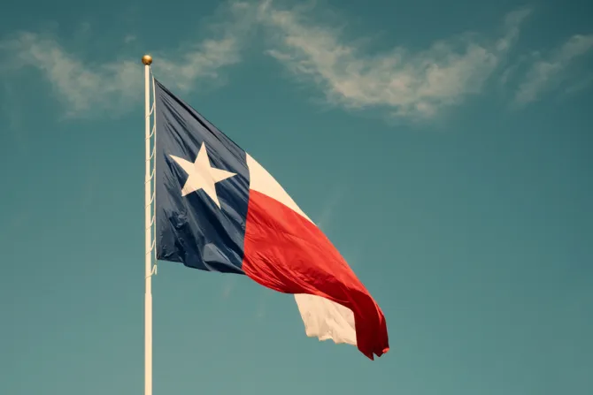 Texas flag Credit Leena Robinson Shutterstock CNA
