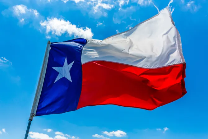 Texas flag Credit Richard A McMillin Shutterstock CNA