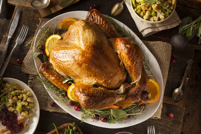 Thanksgiving turkey Credit Brent Hofacker Shutterstock CNA
