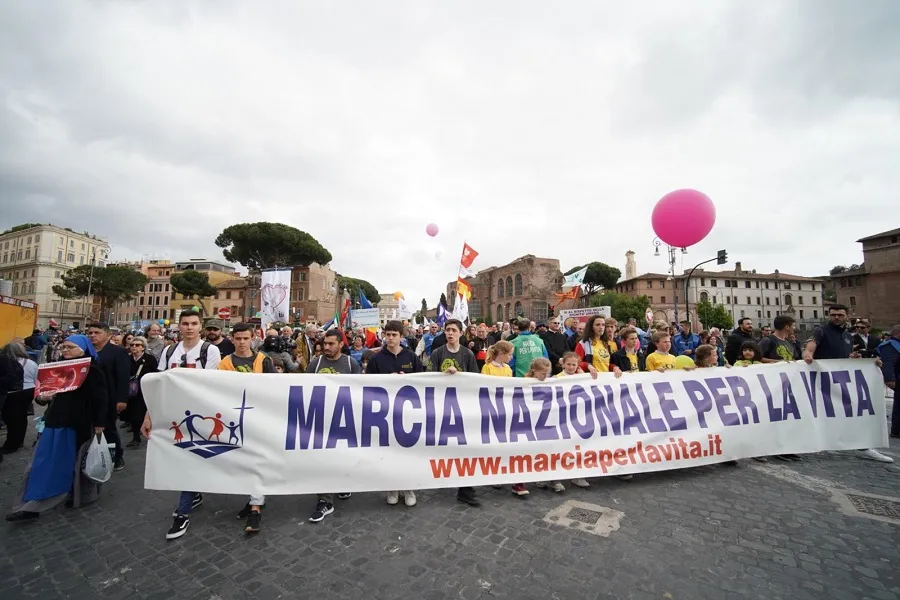 Italy's National March for Life, held in Rome, May 18, 2019. ?w=200&h=150