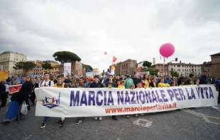 Italy's National March for Life, held in Rome, May 18, 2019.   Daniel Ibanez/CNA.