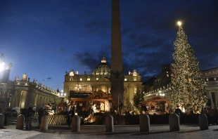 The 2019 Vatican nativity scene and Christmas tree.   Vatican Media.