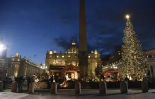The 2019 Vatican nativity scene and Christmas tree.   Vatican Media.