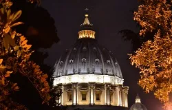 The dome of St. Peter's Basilica as seen from the Vatican Gardens at night. ?w=200&h=150
