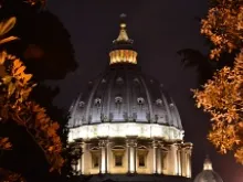 The dome of St. Peter's Basilica as seen from the Vatican Gardens at night. 