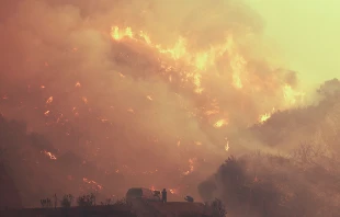 The Thomas Fire burns on December 8, 2017 in Los Padres National Forest, California.   Mario Tama/Getty Images.