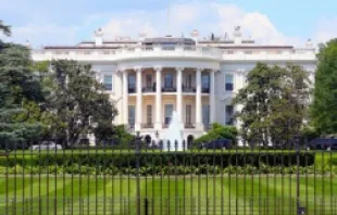 The White House.   Trevor McGoldrick (CC BY-NC 2.0).