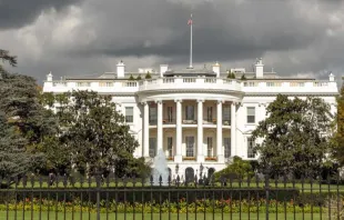 The White House, Washington, DC.   LuxBLue/Shutterstock
