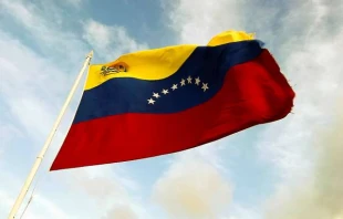 The flag of Venezuela.   Anyul Rivas via Flickr (CC BY 2.0).