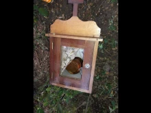 The tabernacle taken from St. Mark the Evangelist parish in San Rafael del Norte, Nicaragua. Photo courtesy of the Diocese of Jinotega.