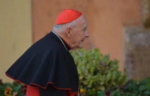 Theodore McCarrick.   Vincenzo Pinto/AFP via Getty Images