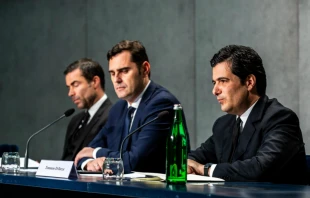 Tommaso Di Ruzza, director of the AIF, speaks at a briefing on the authority's annual report, alongside Alessandro Gisotti and Rene Bruelhart, May 21, 2019.   Daniel Ibanez/CNA.
