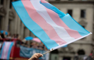 Transgender flag    Credit: Ink Drop/Shutterstock