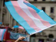 Transgender flag    Credit: Ink Drop/Shutterstock