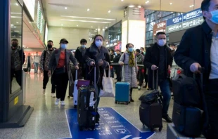 Travellers at an airport in Chengdu, China wear masks to prevent infection from coronavirus.   B.Zhou/Shutterstock.