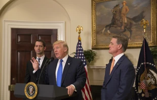 US President Donald Trump speaks at the White House, Aug. 7, 2017.   Andrea Hanks/White House (PD)