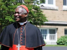 Cardinal Peter Turkson, prefect of the Dicastery for Promoting Integral Human Development. 