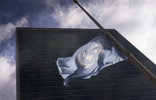 UN flag outside the United Nations headquarters in New York.   United Nations photo via Flickr (CC BY-NC-ND 2.0).