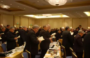 Bishops from across the United States take part in the USCCB's Fall General Assembly in Baltimore on November 11, 2013.   CNA