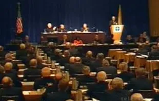 The U.S. bishops gathered in Bellevue, Wash. for their spring 2011 assembly 