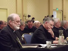 USCCB Fall General Assembly. 