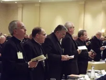 USCCB 2012 Fall General Assembly. 