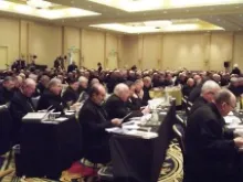 The USCCB 2012 Fall General Assembly. 