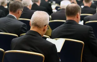 US bishops gather in Baltimore for their Spring Assembly. Kate Veik/CNA.