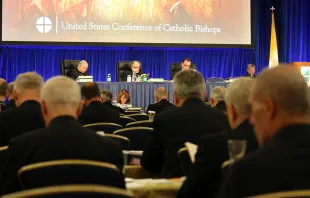 Bishops at the USCCB General Assembly in Baltimore, June 2019.   Kate Veik/CNA